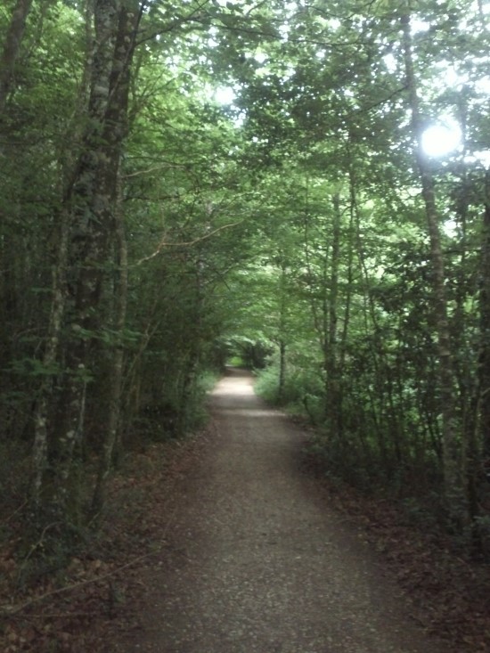 6.27 론세스바예스-라라소냐 25km(산티아고 순례길 3일) 6.27 론세스바예스-라라소냐 25km(산티아고 순례길 3일)