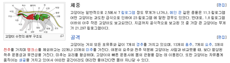  고양이 액체설?!