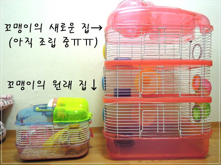  [햄스터] 꼬맹이의 4층 햄스터 집! +_+