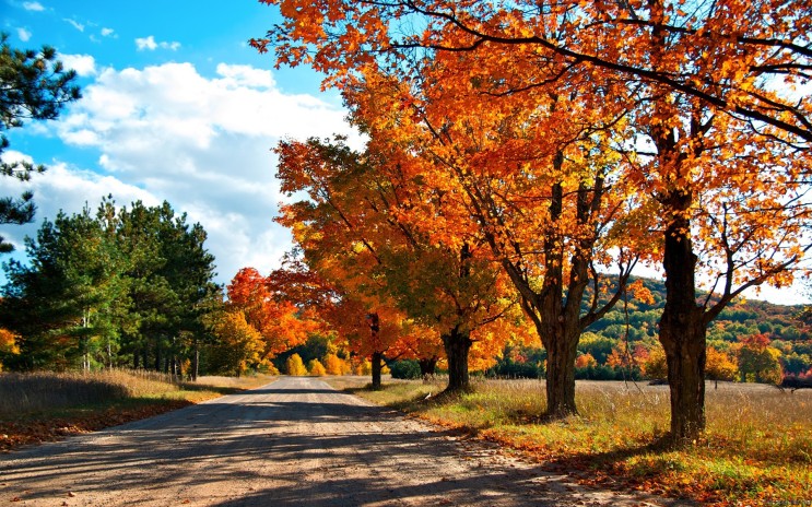 가을하늘 아름다운 고화질 바탕화면 모음 : 네이버 블로그