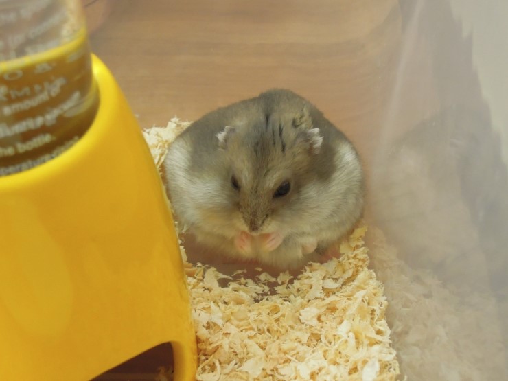  깜뜨 정말 이대로 괜찮은 걸까...