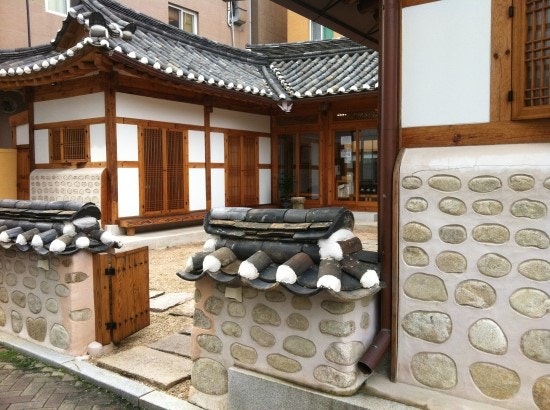 대구 오원석 황금동물병원!!