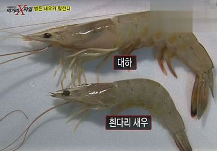  병든 새우가 팔리고 있다~흰다리새우,대하