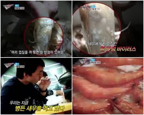  [이영돈 PD의 먹거리 X파일]"흰반점새우"우리는 병든 새우를 먹고 있다! 마트에서도 유통 "충격"