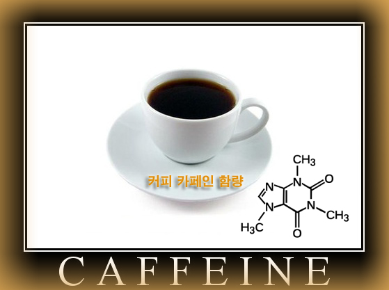 커피 카페인 함량 조사 결과