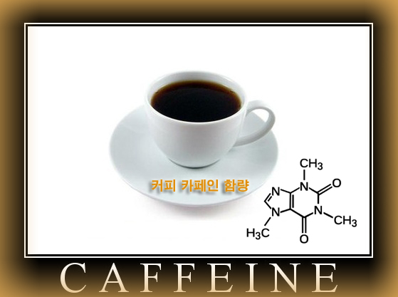  커피 카페인 함량 조사 결과