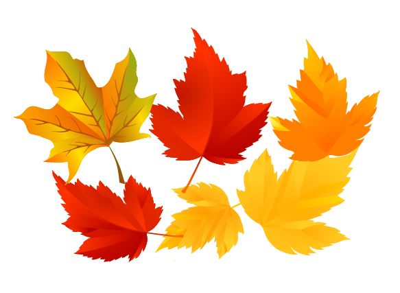 가을 낙엽,단풍 나무 일러 소스 : 네이버 블로그
