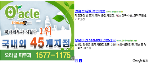  블로그로 돈벌기 - 02. 블로그 수익 모델 그 기본은?