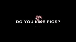  <pig 꿀>
