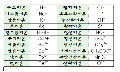 이온식