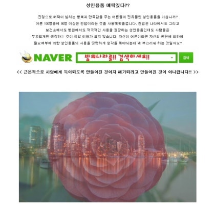 여성딜도 후기 추천!! : 네이버 블로그 여성딜도 후기 추천!! : 네이버 블로그