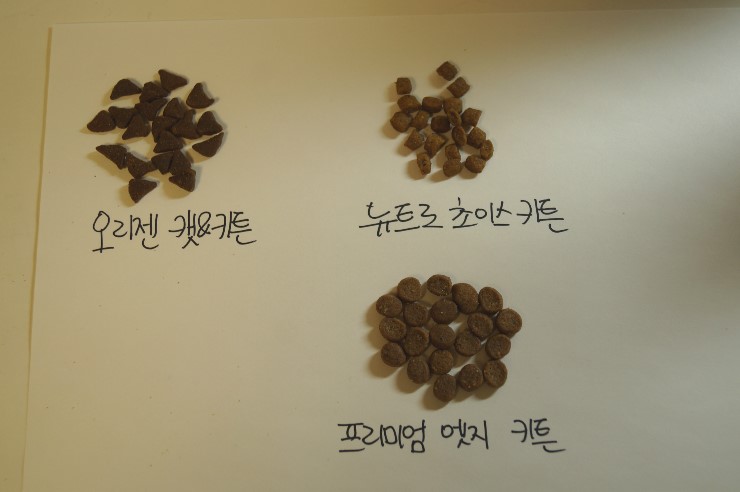  오리젠 캣&키튼 vs 뉴트로초이스 키튼 vs 프리미엄엣지 키튼 기호성 테스트
