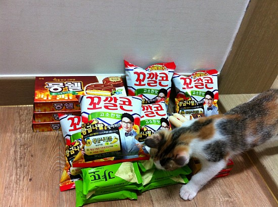  [기념일] 11/11일 빼빼로데이~ ㅋ 애인이 만들어준 수제 빼빼로.. ㅎ