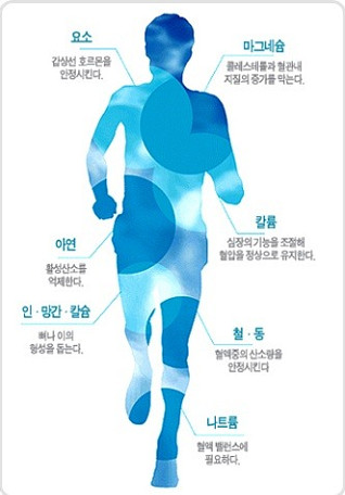 알칼리 정수기 미네랄의 효능을 듬뿍 담아냈다!