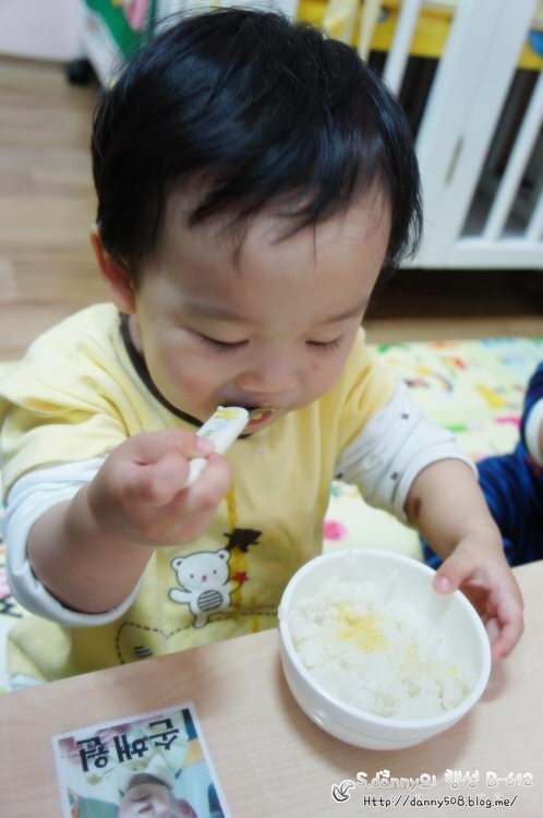 품안을 떠난 '추석이'와 품안의 '나무' 품안을 떠난 '추석이'와 품안의 '나무'