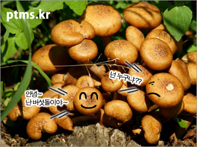 살빼는데 도움이되는 음식과 다이어트 집중하는 방법 살빼는데 도움이되는 음식과 다이어트 집중하는 방법