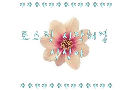  2012.12.23./일라이다/알레이나/크리스티나/아마야/KBS짤