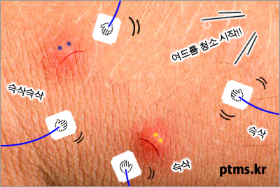 몸짱에 맞는 얼굴피부 관리법 몸짱에 맞는 얼굴피부 관리법