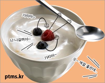 요구르트 먹고 다이어트 성공할까? 요구르트 먹고 다이어트 성공할까?