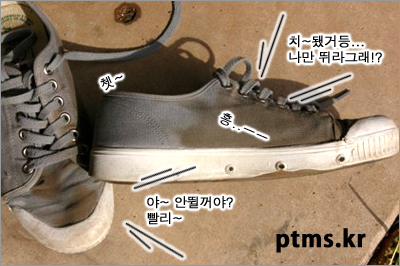 유산소운동은 뚱뚱한 사람의 몫?? 유산소운동은 뚱뚱한 사람의 몫??