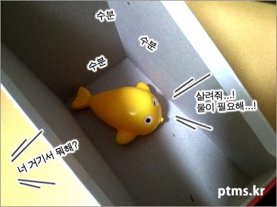 맑은 공기를 마시며 뛰어라. 다이어트의 첫걸음이다. 맑은 공기를 마시며 뛰어라. 다이어트의 첫걸음이다.