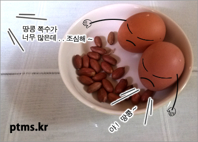 견과류 다이어트 식생활이용 방법 견과류 다이어트 식생활이용 방법