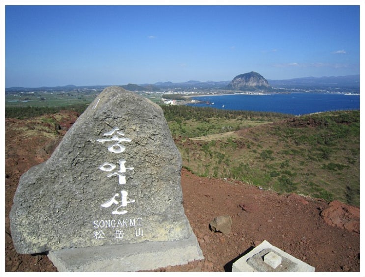 제주올레 10코스 거꾸로 걷기 (6) 송악산에서 만난 화산, 꽃, 말 그리고 산방산