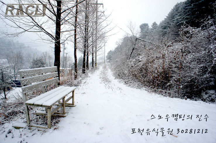  스노우캠핑을 즐기다 12.12.28~29 포천 유식물원 캠핑장