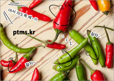 다이어트 운동 후 피로 회복 방법 다이어트 운동 후 피로 회복 방법