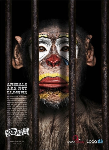 동물 학대 포스터 아이디어