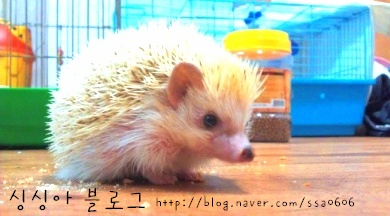  2013년 1월 21일 오후 6시 57분에 저장한 글입니다.