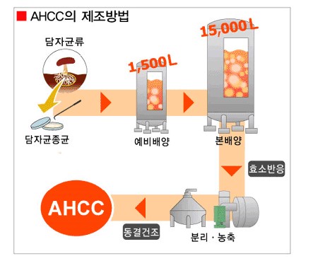 표고버섯 균사체 AHCC 알파 베타글루칸 NK 매크로파지 면역기능 증진을 위한 선택 7