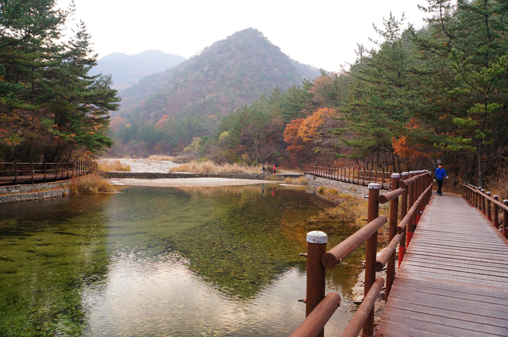 대전 계룡산국립공원의 수통골 등산
