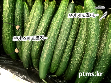집에서 혼자힘으로 살빼는 계획적인 스케줄 따라하기 집에서 혼자힘으로 살빼는 계획적인 스케줄 따라하기