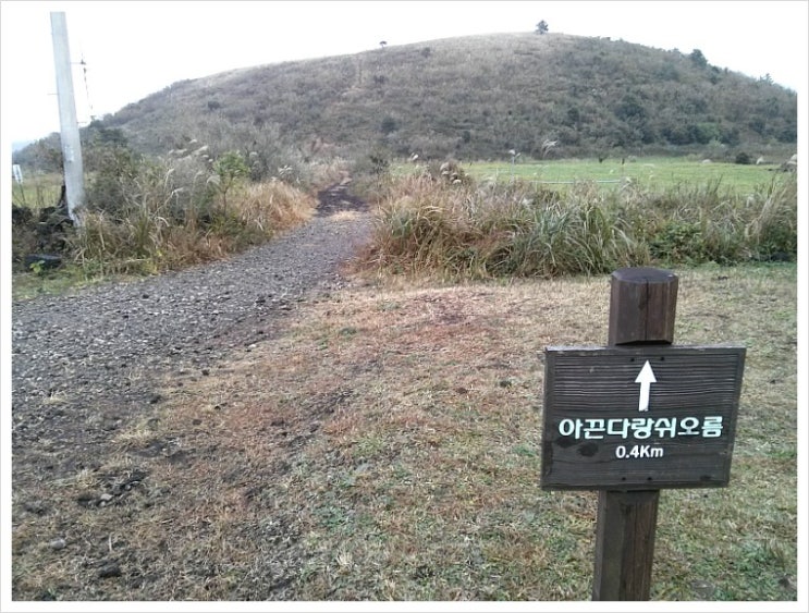 작고 귀여운 아끈다랑쉬 오름 작고 귀여운 아끈다랑쉬 오름