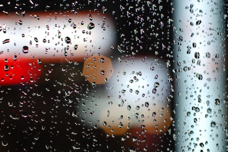  雨中