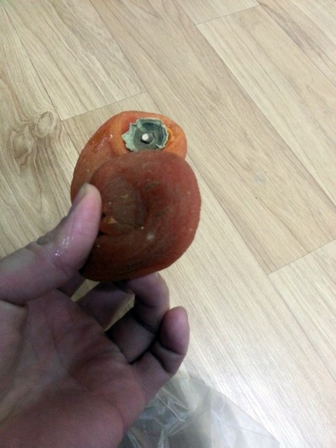  곶감 좋아하세요??? 곶감따러 같이 상주여행 가요~ 빈지노 곶감대란에 합류! 