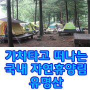 [애니데이러버 ]모리가 추천하는 기차타고 떠나는 국내 자연휴양림_유명산 (애니데이 333캠페인 팬티라이너)
