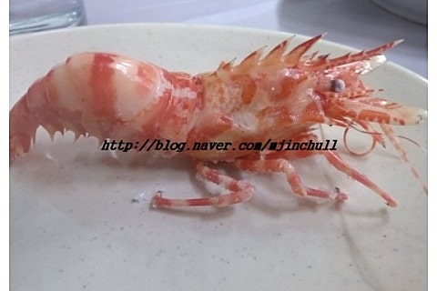 서장대왕새우 이미지