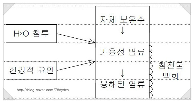 백화(efforesence) 발생원인과 방지대책&lt;건축시공기술사 문제&gt;