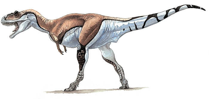 고르고사우루스[Gorgosaurus] : 네이버 블로그