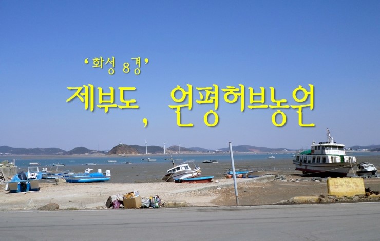  2013 화성시] 제부도와 원평허브농원 1