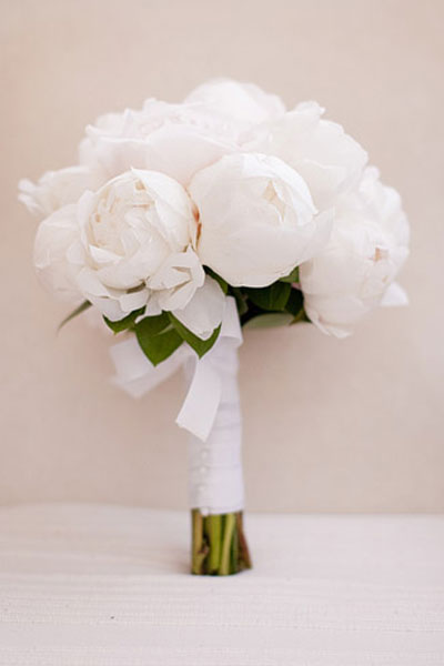 웨딩파티에 어울리는 작약(peony)