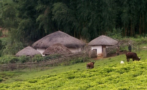 아프리카 전통 집 'The Rugo' 부룬디 르완다 전통 움집 : 네이버 블로그