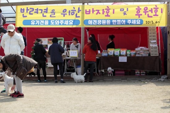  대전 리루애견까페 유기견 후원바자회(4월13일~4월21일까지)