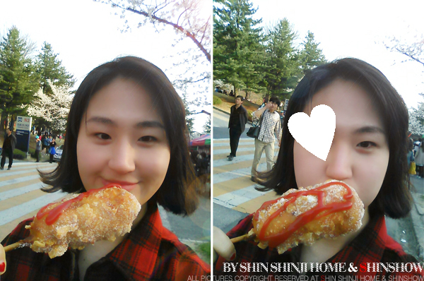  주말은 친구와 함께 벚꽃 놀이를 가야 제맛!