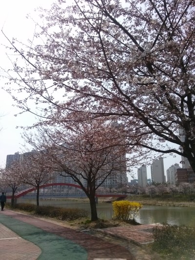  유산가/경기민요/12잡가/긴잡가/경기좌창