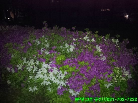  어젯밤 집뒤공원에서~~