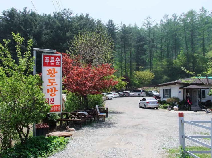  [가평 캠핑장] 유명산 푸른숲 캠핑장