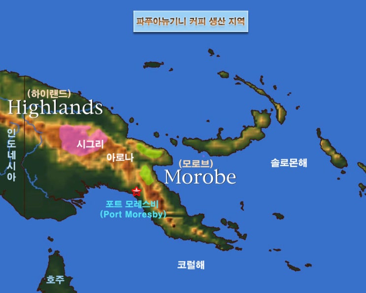 파푸아뉴기니 커피(Papua New Guinea Coffee) 